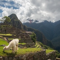 MachuPicchu-0104-copy