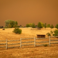 Oregon_Fire_2022-1841